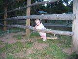 colorado_ellie_aug04.jpg