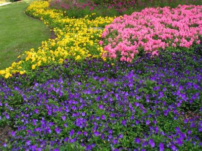 Victoria Garden, Canada Showcase