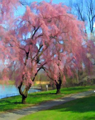 twopinktreeswatercolor.jpg