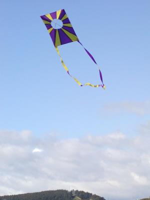 mini wave kite.jpg