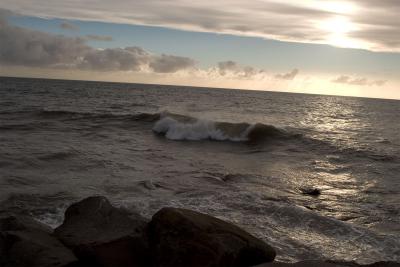 Waves