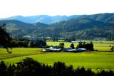 040831 Tillamook Valley
