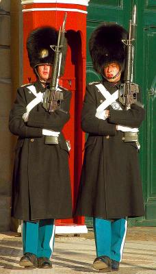 Guards.jpg