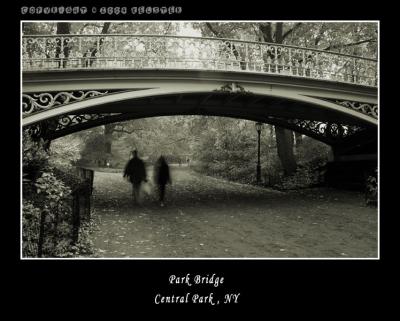 u41/kelster/medium/35950928.CentralParkFallBridge.jpg