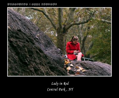 u41/kelster/medium/35950931.CentralParkFallLIR2.jpg