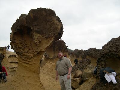 Big Head Mushroom Rock
