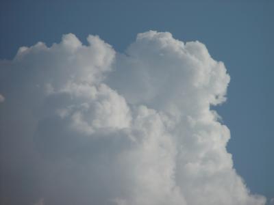 Afternoon cumulus