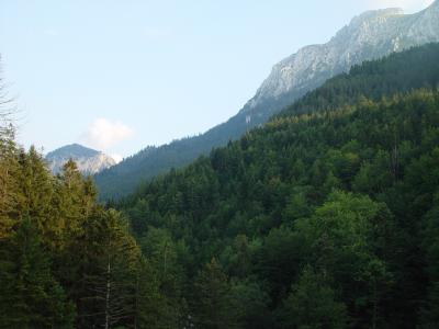 Alps over Neuschwanstein
