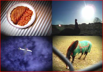 Foodemuplanehorse.
