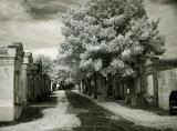 New Orleans Cemetery