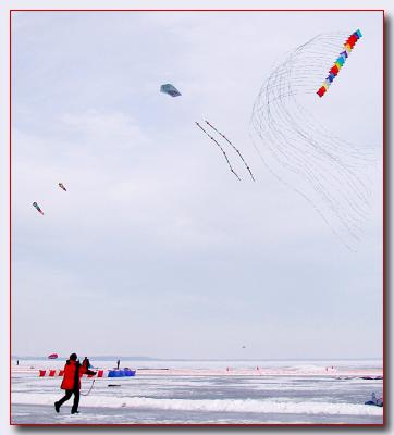 kites0359.jpg