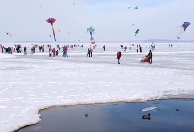 kites0479.jpg