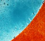 Fused Glass by Roland Paschhoff