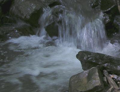Hiking Along the Creek