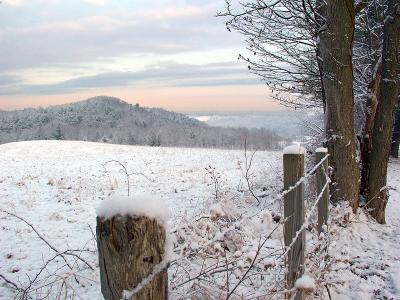 Fenceposts