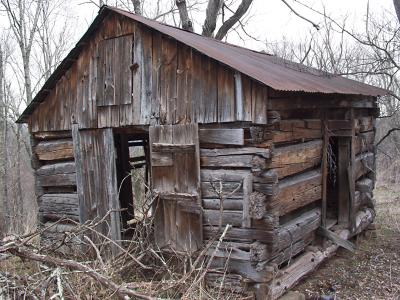 Abandoned Shack in the Woods