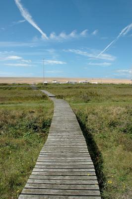 boardwalk