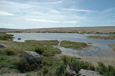 saltwater lake
