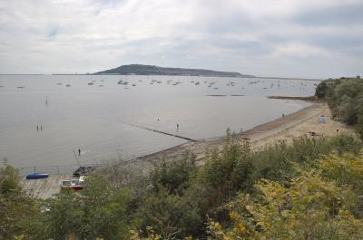 view of Portland from the garden