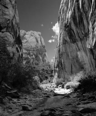 Capitol Reef Canyon 3