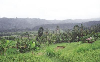 Approaching rain, North Bali