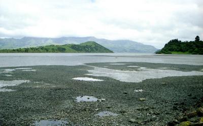 Tidal flats near Akaroa