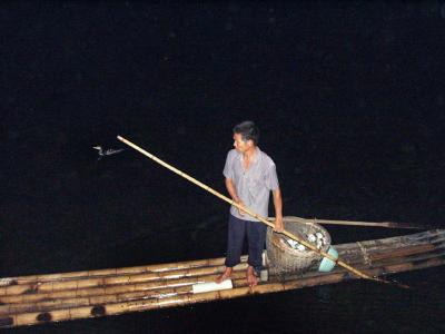 Cormorant fishing, set up for us tourists