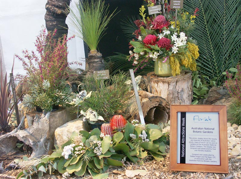 Australian Native Plants Exhibit