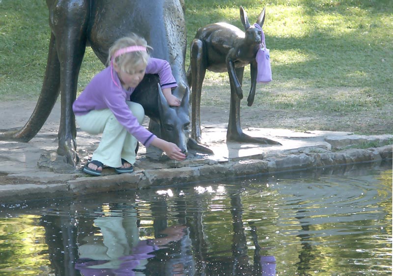 Bronze kangaroos