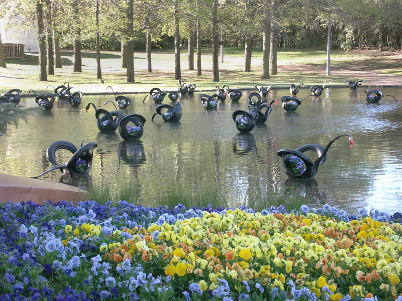Artificial lake, artificial swans