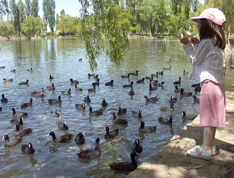 Bread upon the waters