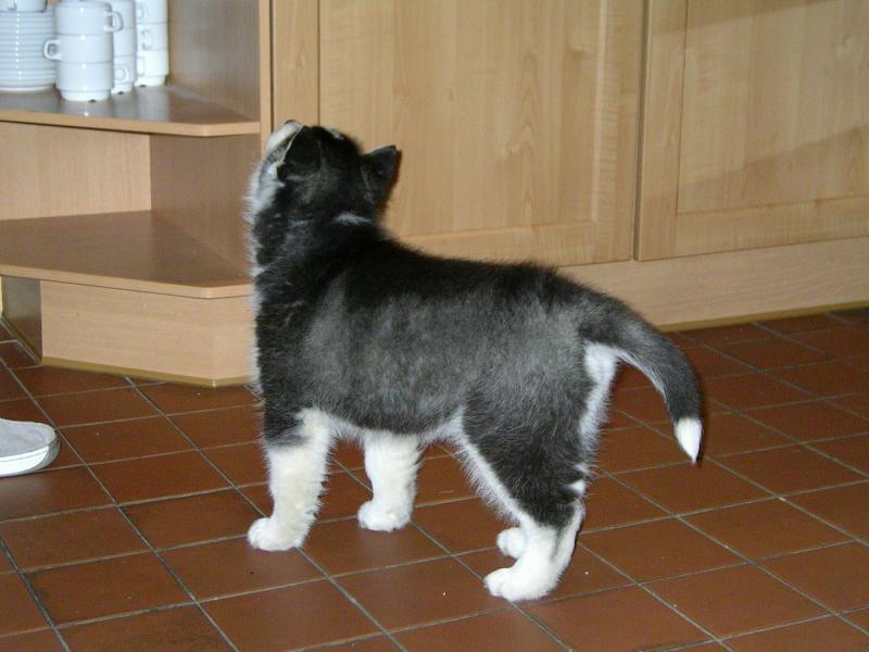 PICT0016.JPG