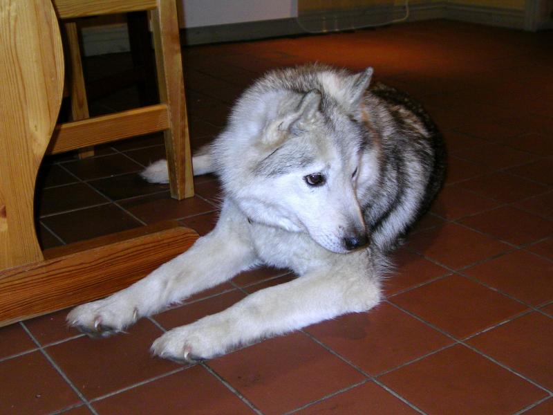 PICT0018.JPG