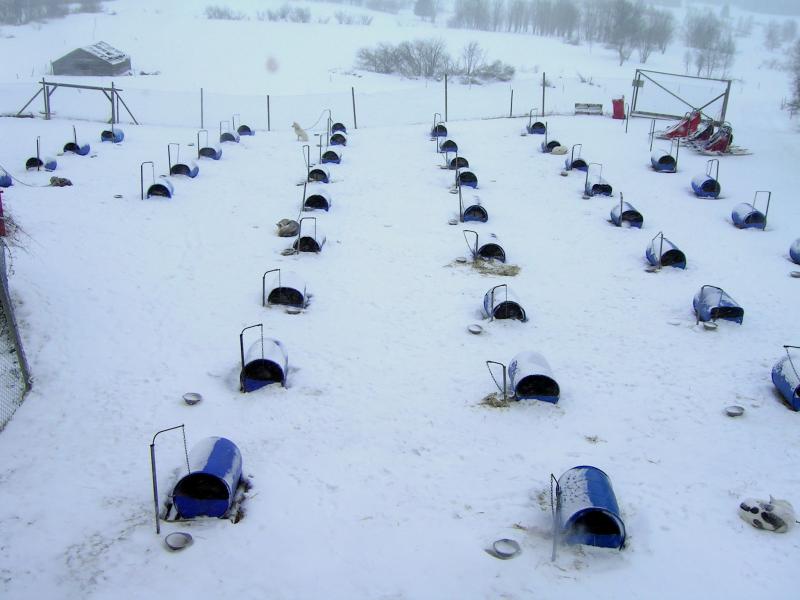 PICT0029.JPG