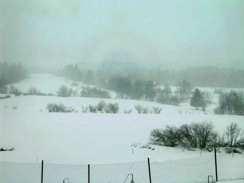 PICT0030.JPG
