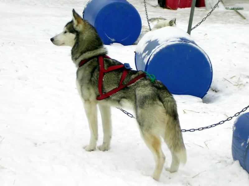 PICT0058.JPG