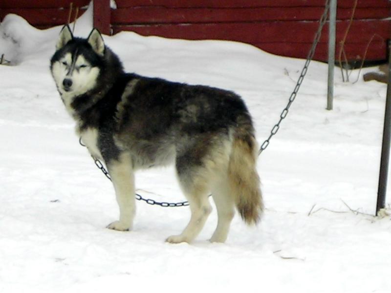 PICT0060.JPG
