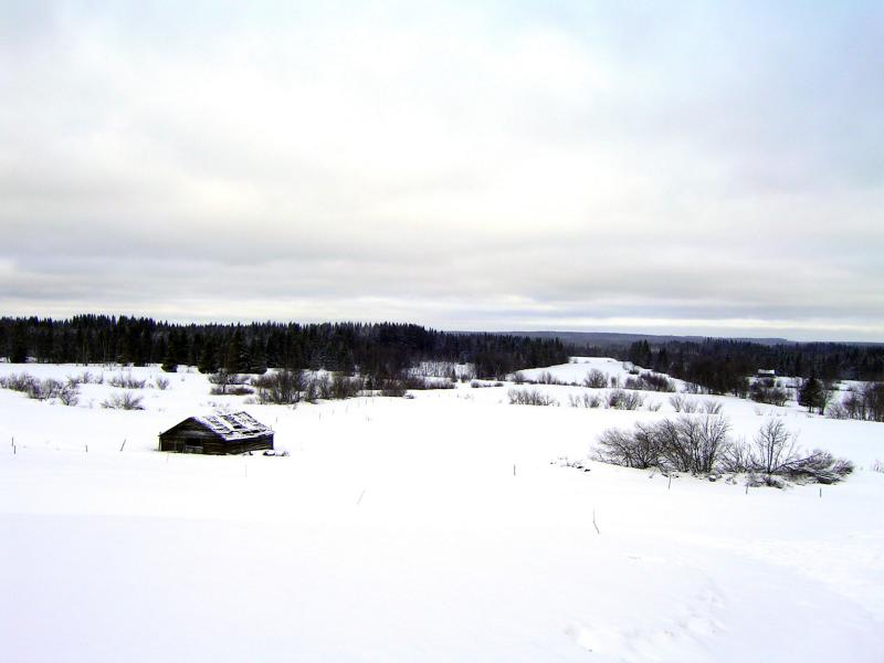 PICT0067.JPG
