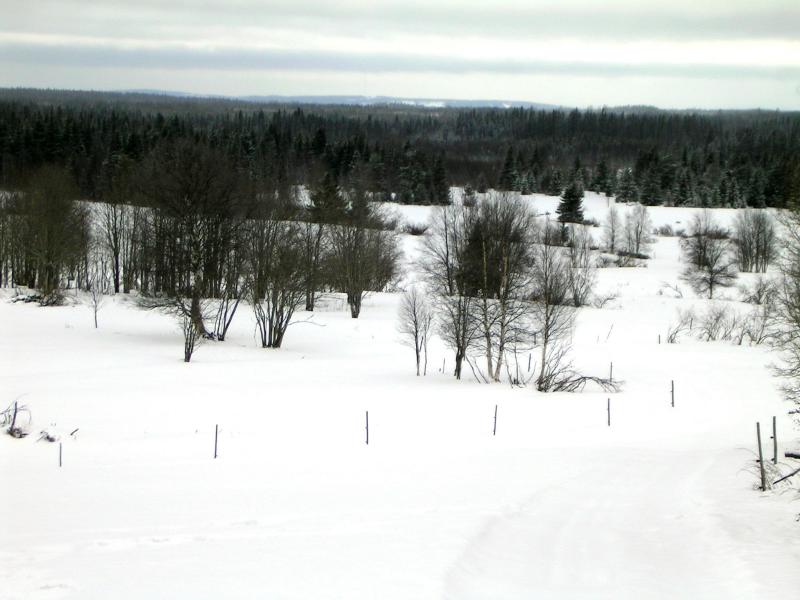 PICT0068.JPG