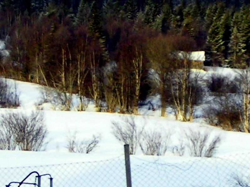 PICT0083.JPG