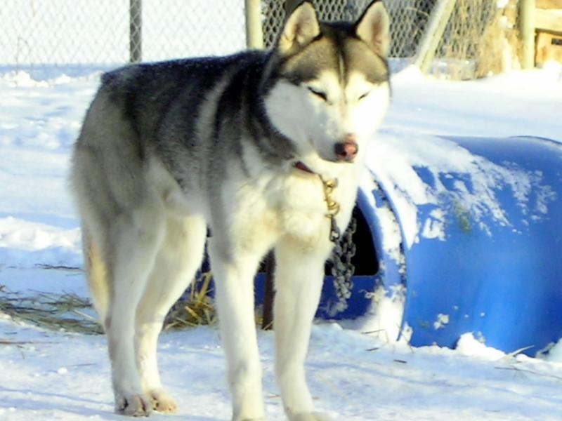 PICT0090.JPG