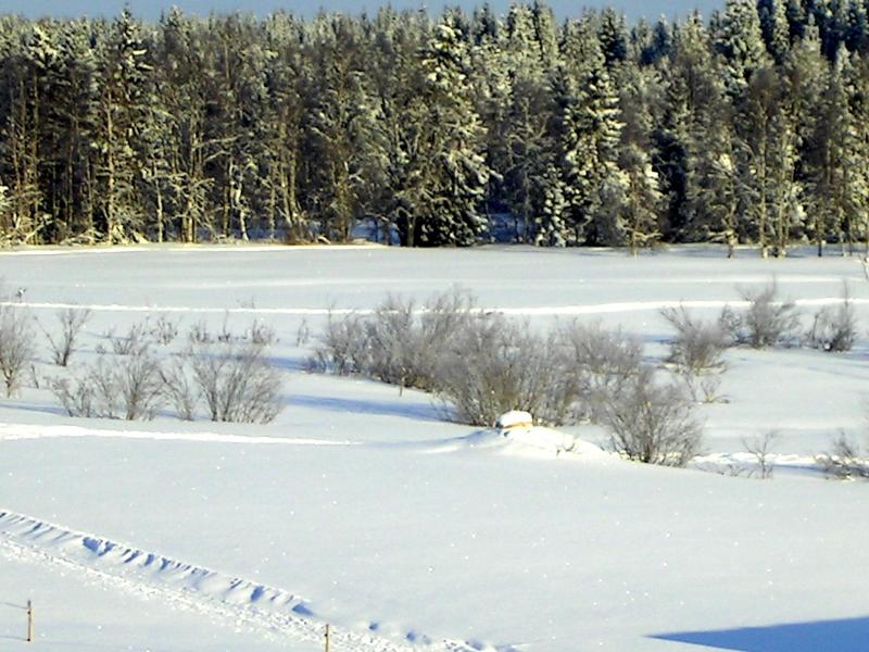 PICT0096.JPG
