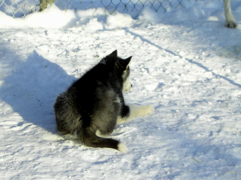 PICT0110.JPG