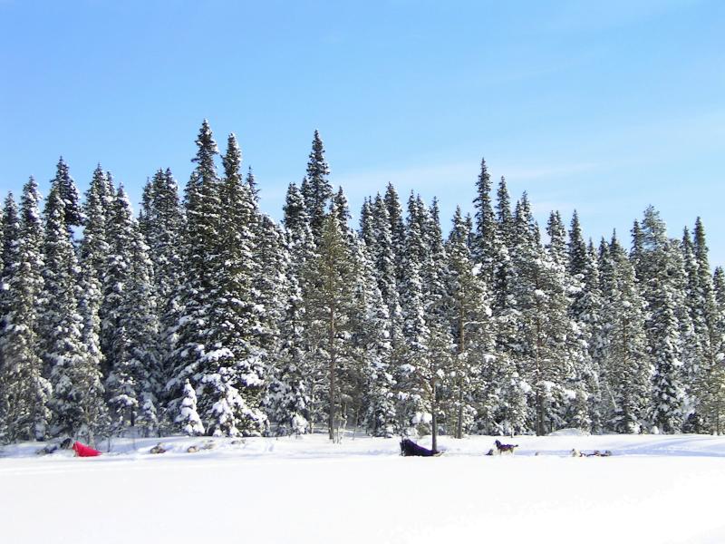 PICT0123.JPG