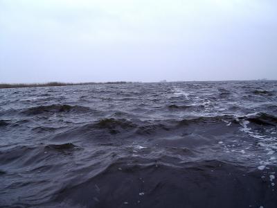 waterscape