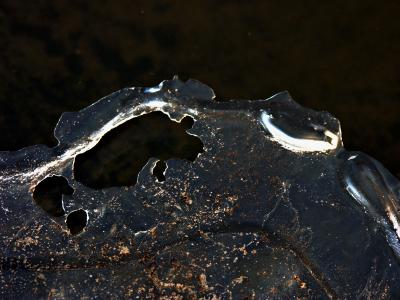 Melting Ice on a muddy Pond