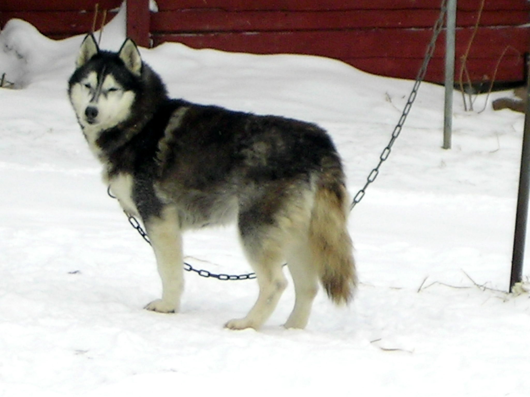 PICT0060.JPG