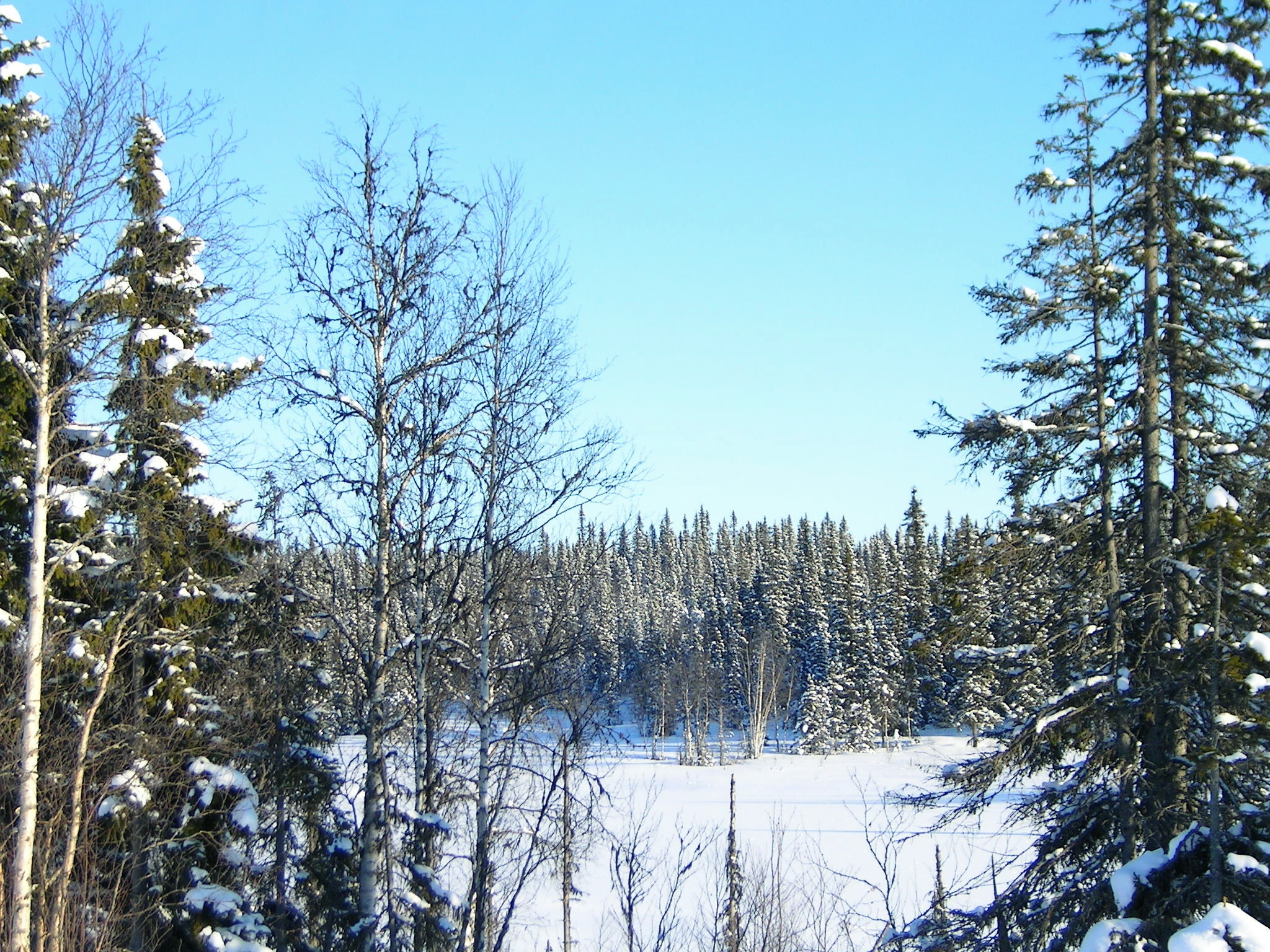 PICT0178.JPG