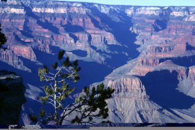 Grand Canyon 0464