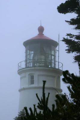 Haceta Head Lighthouse9231fix800.jpg